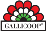 Logo Gallicoop