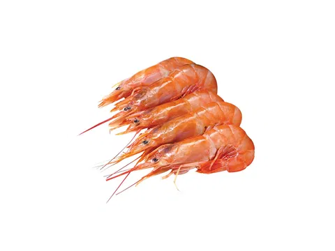 Vörös rák 10/20 egész 60-70 g/db