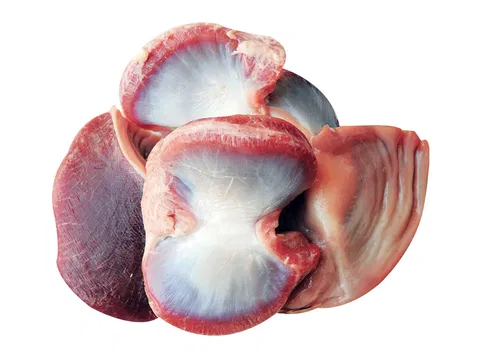 Putenmägen