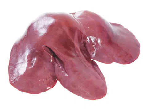 Schweins-Leber