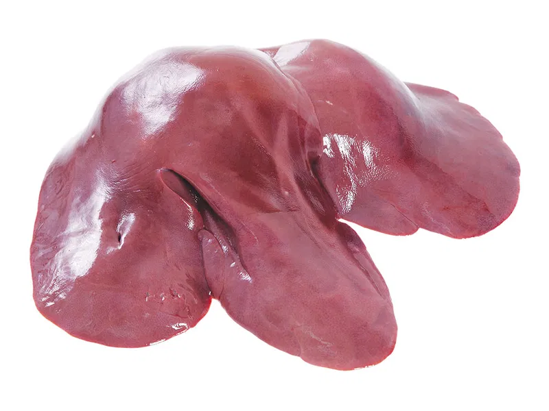 Schweins-Leber