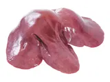 Schweins-Leber   