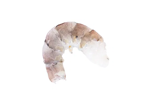 Shrimps/Vannamei o. Kopf, o. Schale 16/20 20%Glasur (Litopenaeus vannamei)