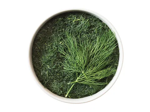 Dill gefroren d'Arta