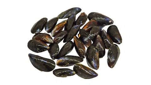 Mussels "black shell" 60/80 1kg/bag 5kg/# (Mytilus spp.)  g/db