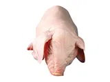 Piglet whole  