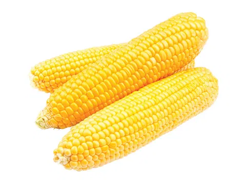 DARTA Corn on the cob
