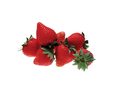 Erdbeeren GastroGarden
