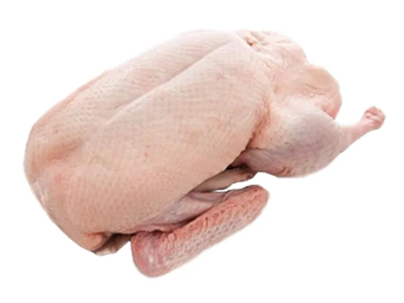 Kacsa egészben grill