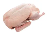 Kacsa egészben grill  