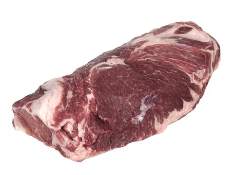 Mangalitza-Schopf o.Kn. EV.  
