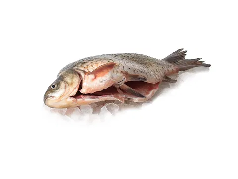 Whole Crucian, IQF,  250-500g/pcs 5kg/# 250-600 g/db
