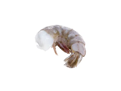 Shrimps/Vannamei o. Kopf, m. Schale 6/8 20% Glasur Easy Peel