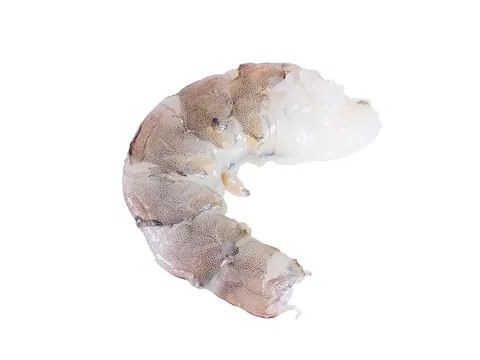 Shrimps/Vannamei o. Kopf, o. Schale 26/30 20% Glasur