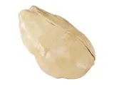 Libamáj hízott  