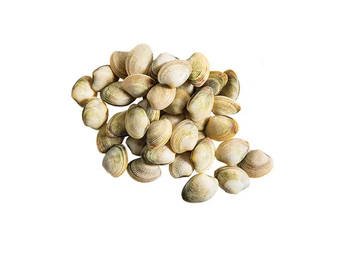 Whole cooked clam 70/90 10% glaze 1kg/bag 10/#