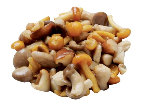 Waldpilzmischung