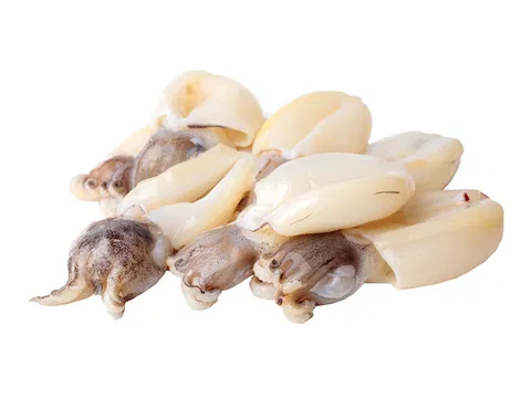 Baby squid (whole) 20/40 1kg/bag 10kg/# (Uroteuthis duvaucelii)