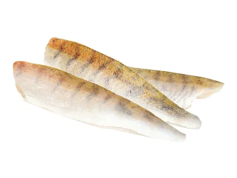 Zanderfilet mit Haut 10% Glasur 500-800 g/db