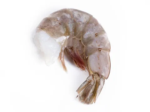 Freshwater shrimp "easy peel" U5 20% Glazing 1kg/bag 10kg/#