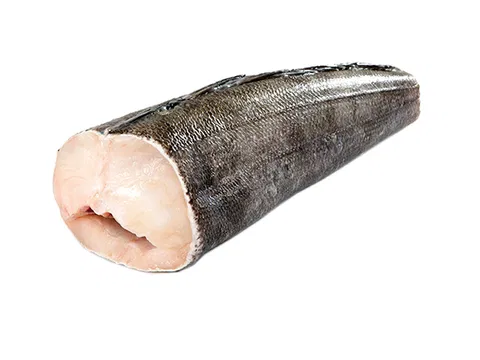 Seehecht CHYMAR 0-4% Glasur 600-700 g/db