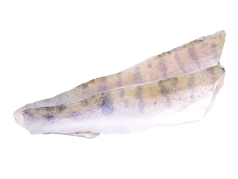 Zanderfilet mit Haut 10% Glasur 230-300 g/db