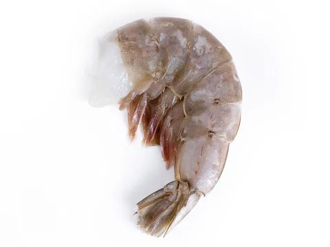 Shrimps o. Kopf, m. Schale 13/15, 20 % Glasur