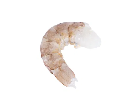 Shrimps/Vannamei o. Kopf, o. Schale 13/15 20% Glasur