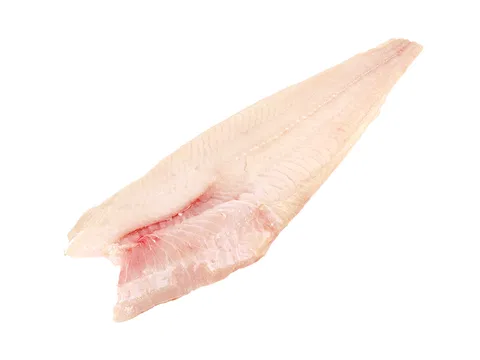 Europäischer Wels-Filet o. Haut 500-1500 g/db