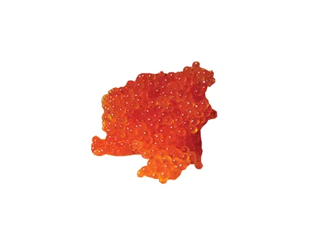 Sushi Tobiko (oranžové)  kg
