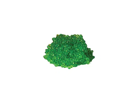 Sushi Tobiko (zelené)  kg