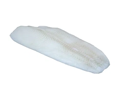 Halibut filé 400-800 g/db