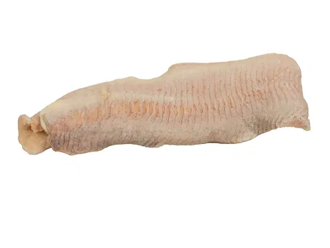 Afrikanischer Welsfilet o.H. 10% glasur IQF 200-400 g/db