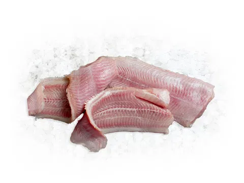 Frische Afrikanischer Welsfilet o.H. 2-3 db/cs