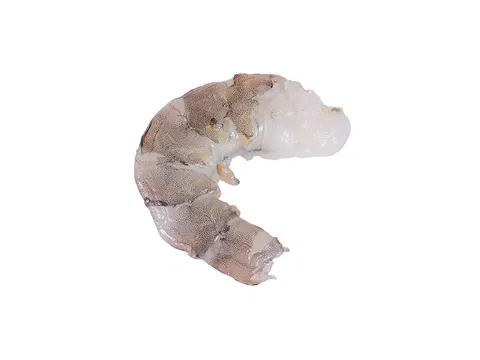 Vannamei Prawns PND 21/25 20% glazing  g/db