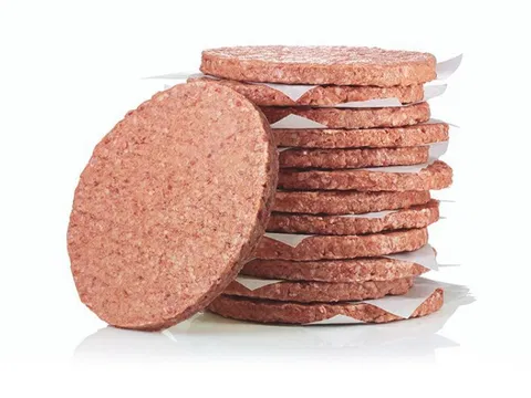 Hamburger Ranch Master Salomon Food 100 g/db