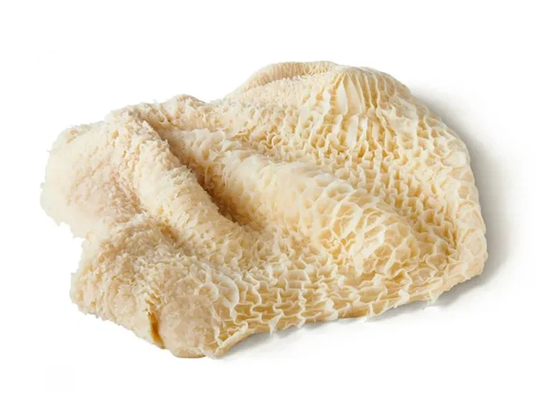 Pacal tömbös